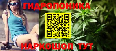 спайс Аша