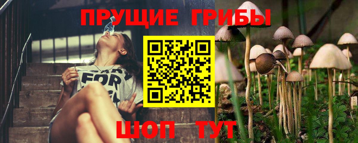 Псилоцибиновые грибы ЛСД  Вход с VPN  где купить наркотик  Клинцы 